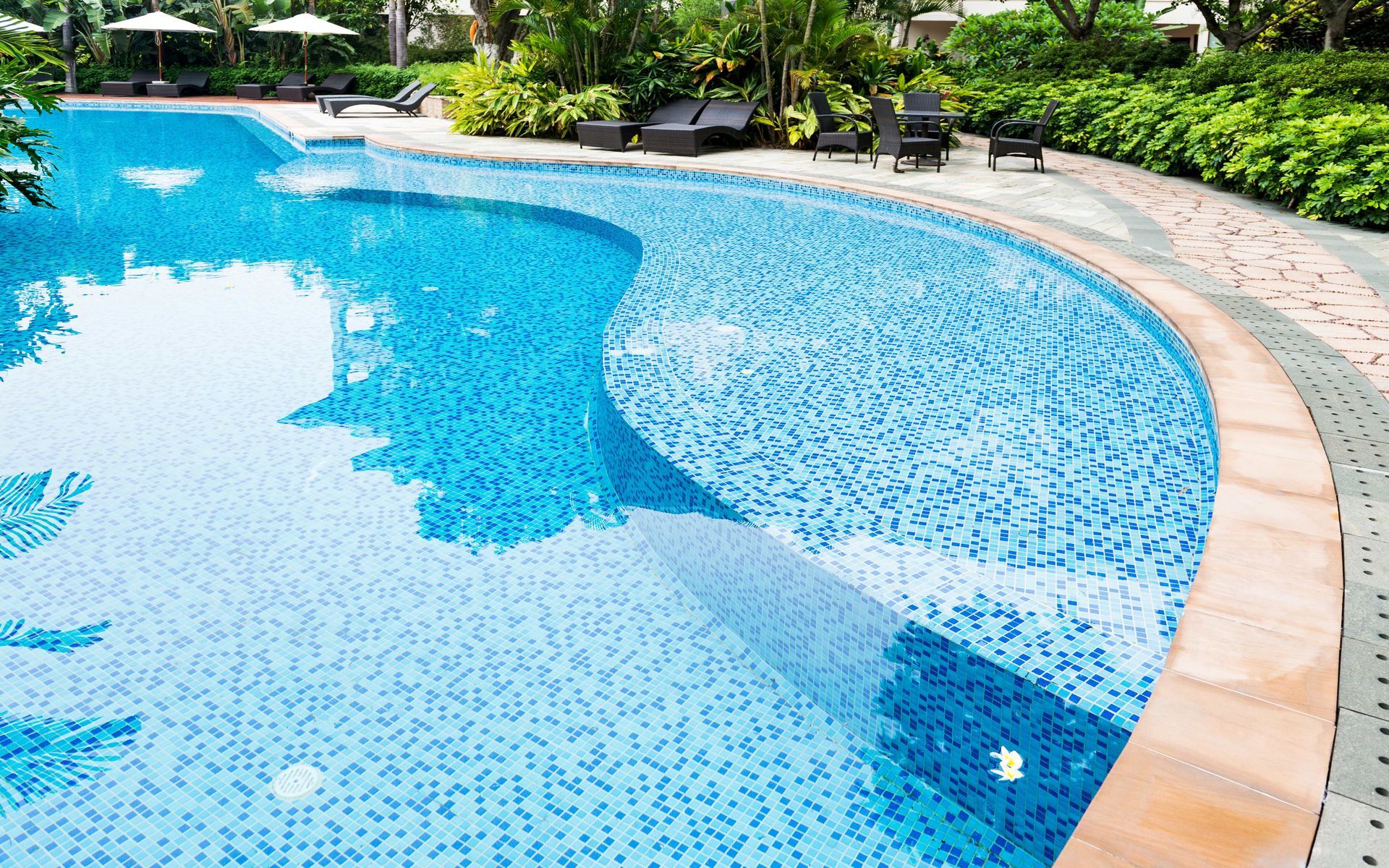 Curved outdoor swimming pool with blue mosaic water and tan deck, bordered by palm trees and lounge chairs
