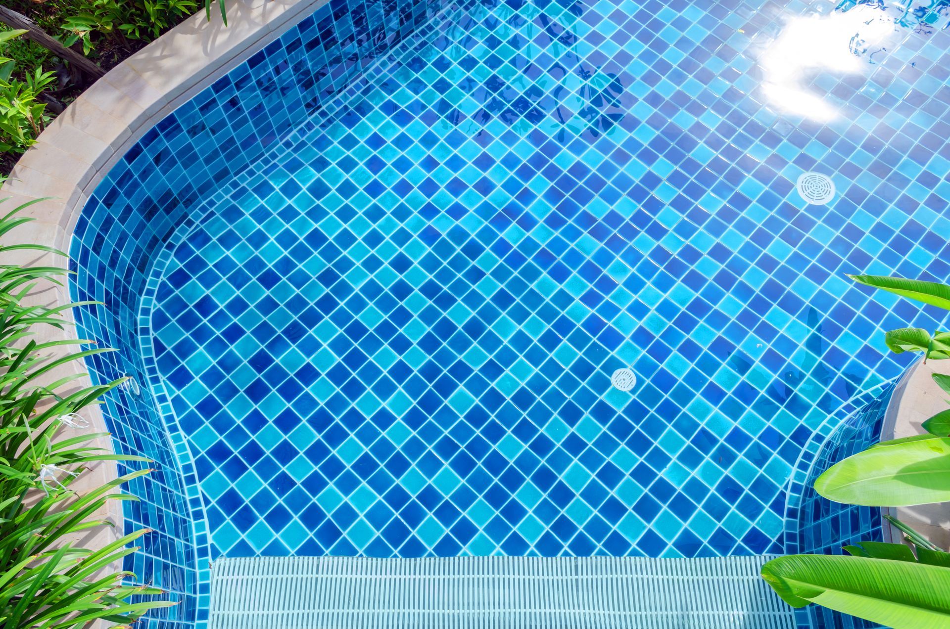A blue tiled swimming pool with a curved edge, viewed from above, with green tropical plants at the corners.
