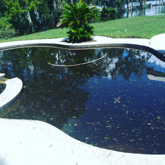 A murky, dark-colored outdoor swimming pool filled with debris and leaves, surrounded by a white concrete deck.