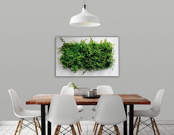 Picture of a living frame