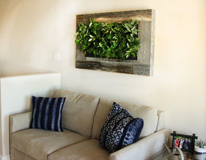 Picture of a Living Frame