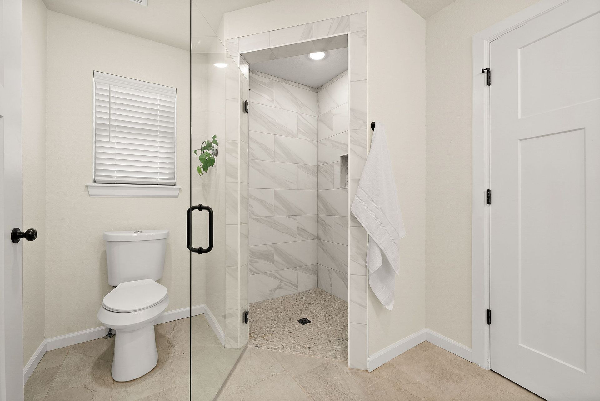 A bathroom with a toilet and a walk in shower.