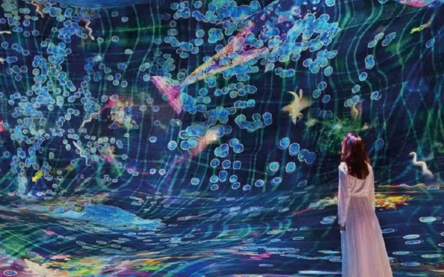 teamLab Phenomena Abu Dhabi