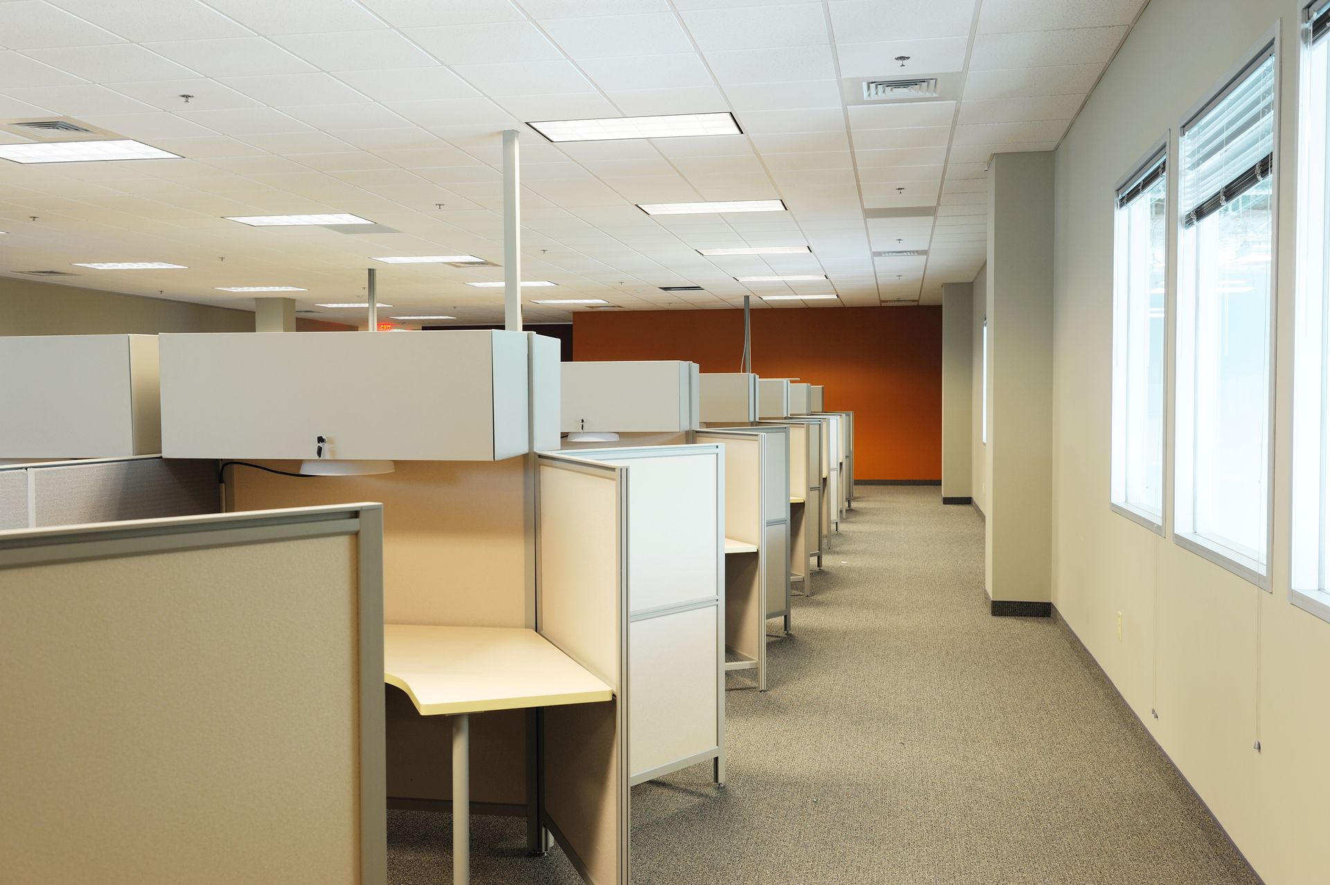 A row of beige office cubicles in a brightly lit room with a patterned carpet floor and windows on the right side.