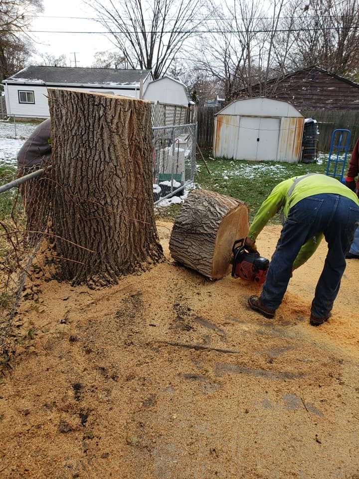 A man is cutting a tree stump with a chainsaw.