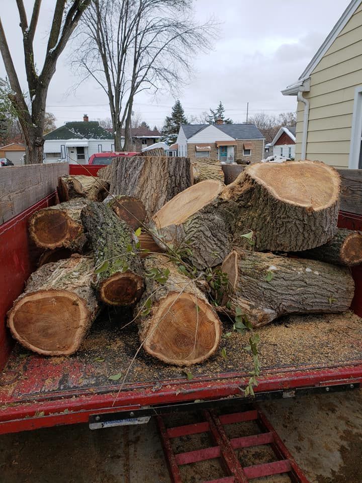 A pile of logs is sitting in the back of a truck.