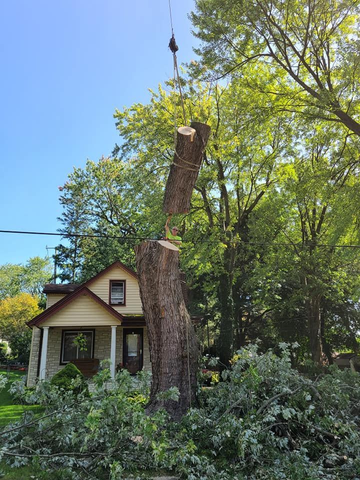 A tree is being cut down in front of a house.