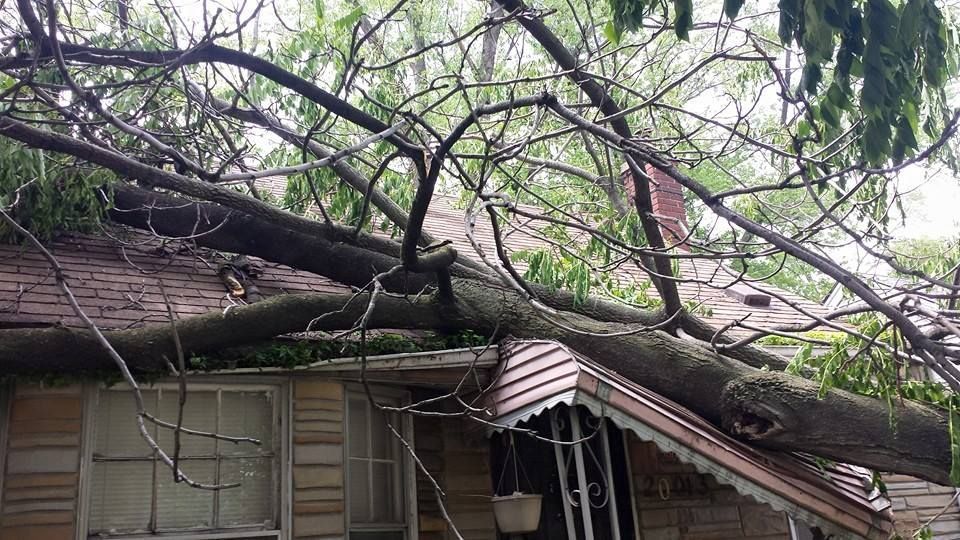A tree has fallen on the roof of a house.