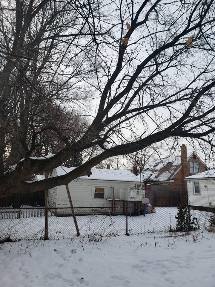 A snowy yard with a house in the background