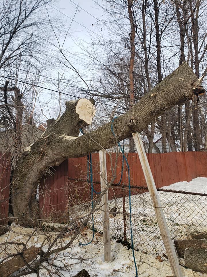 A large tree stump is laying on the ground next to a fence.