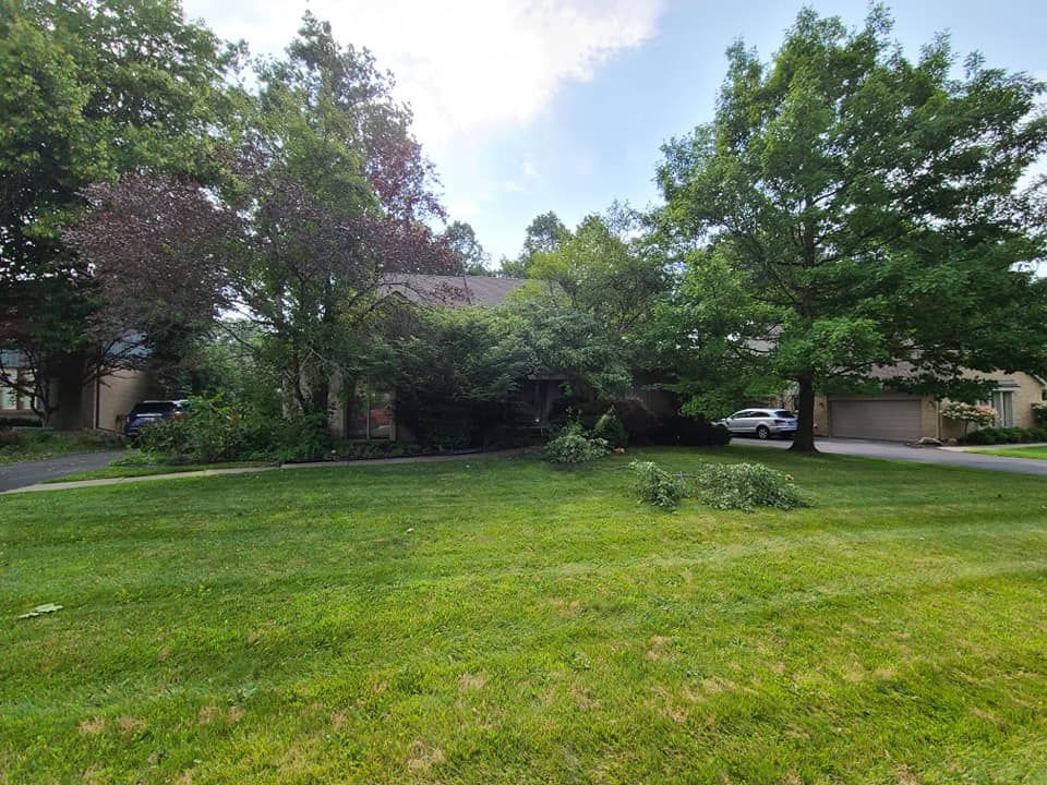 A large lush green lawn in front of a house with trees in the background.