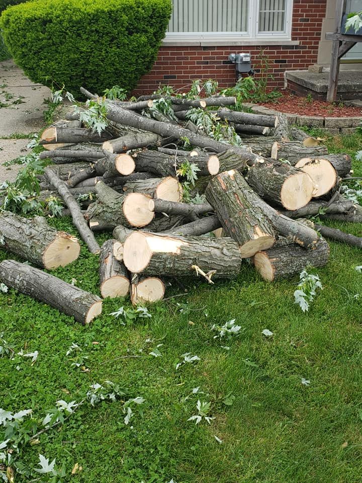 A pile of logs laying on the grass in front of a house.