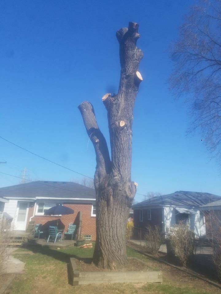 A large tree stump is sitting in front of a house.