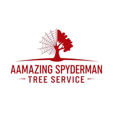 The logo for a amazing spiderman tree service shows a tree with a spider web on it.