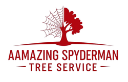 The logo for a amazing spiderman tree service shows a tree with a spider web on it.