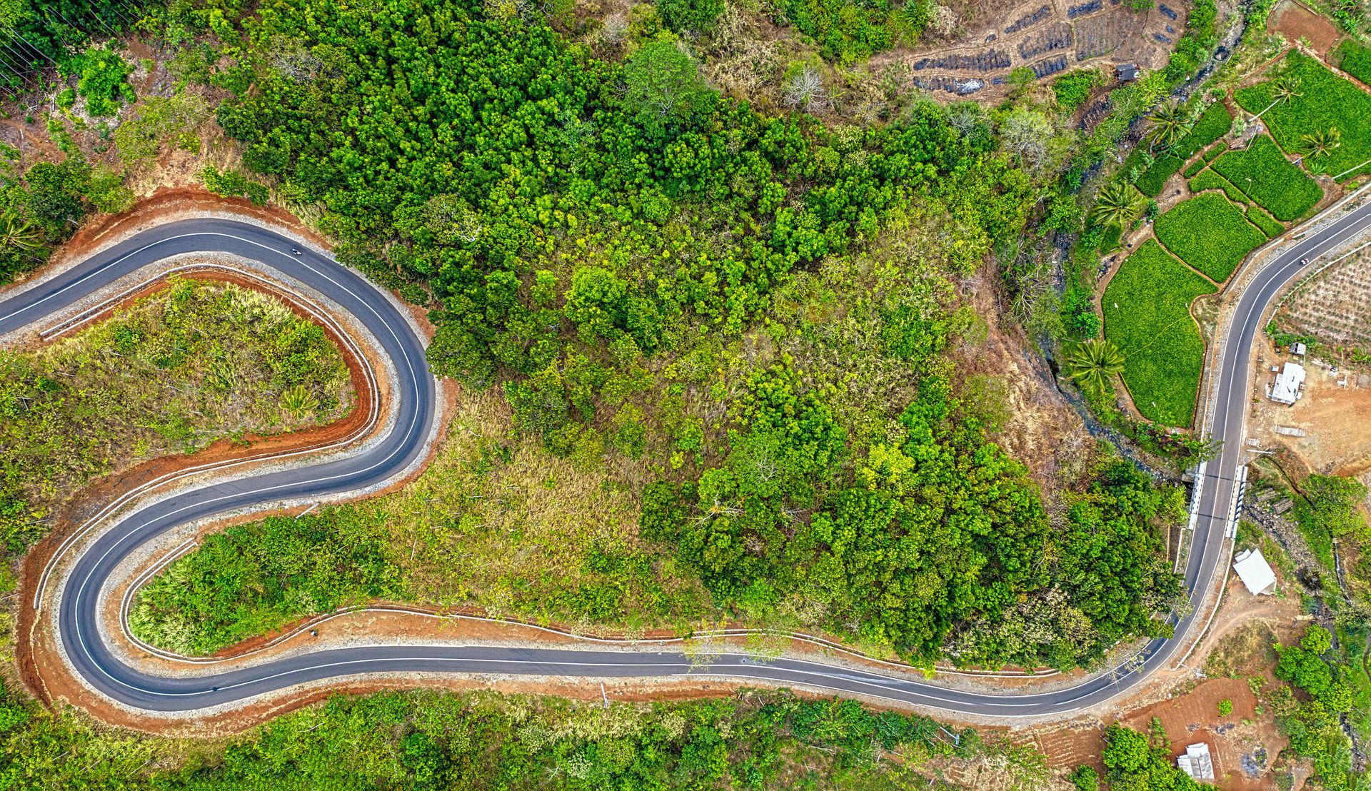 An aerial view of a winding road surrounded by trees.