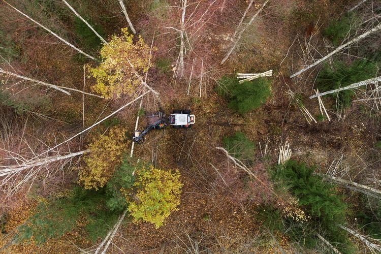 An aerial view of a person riding a motorcycle through a forest.