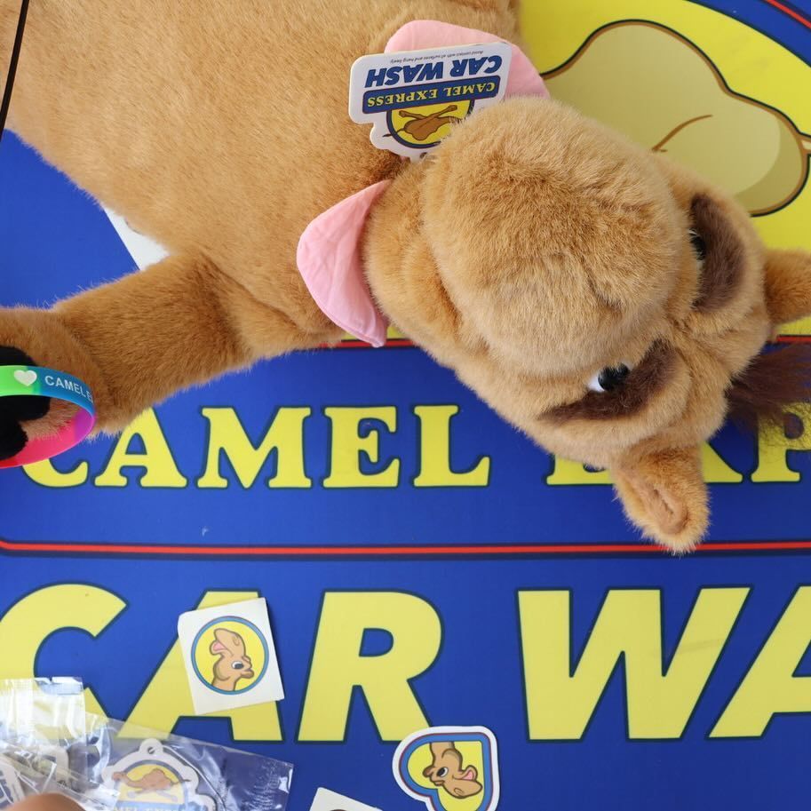 Plush camel toy with 