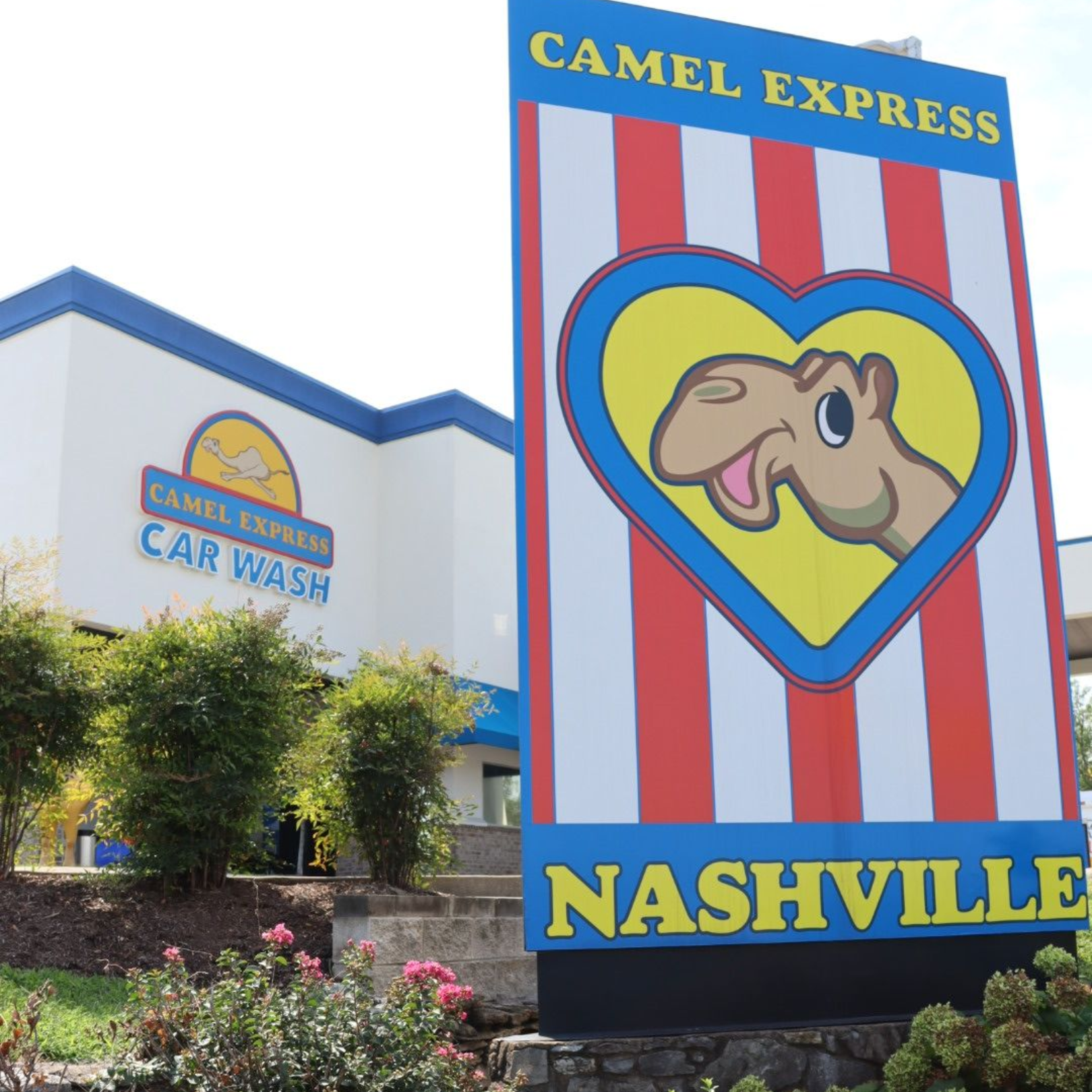 Camel statue in a yellow car at a car wash. A person is working on the car's wheels. Blue and white setting.