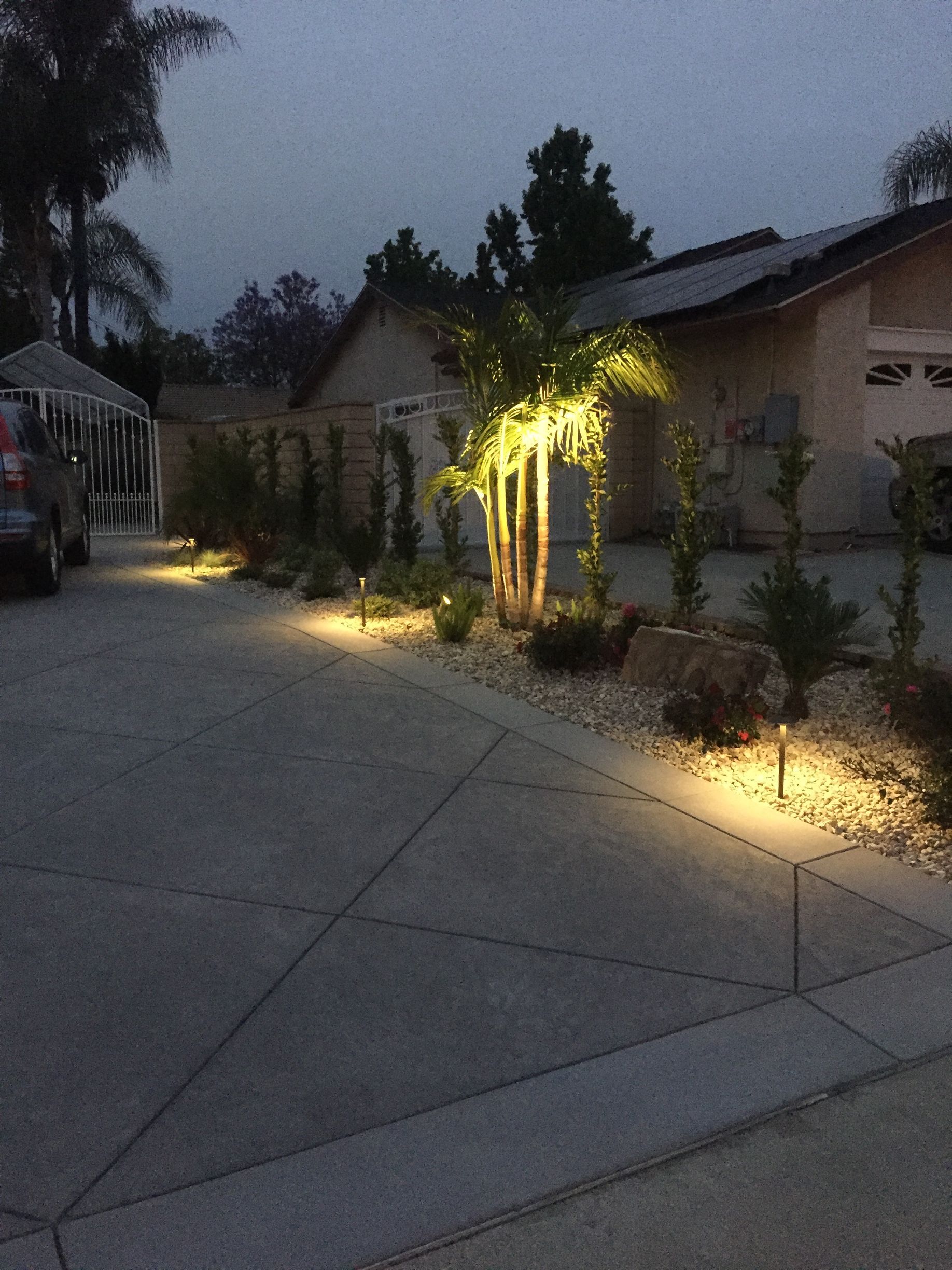 Driveway at dusk with landscape lighting illuminating trees and shrubs.