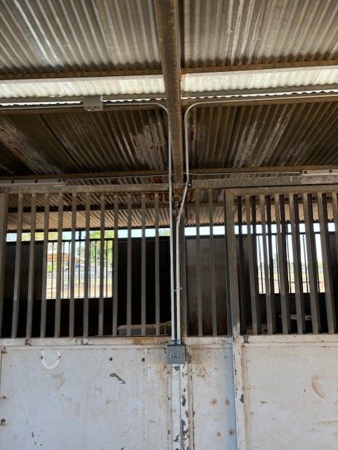 Inside a stable with metal bars, corrugated roof, electrical conduit and outlets are visible.