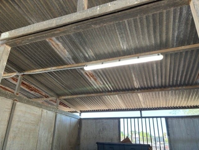 Corrugated metal roof of a shelter with a fluorescent light fixture. Concrete walls and open doorway.
