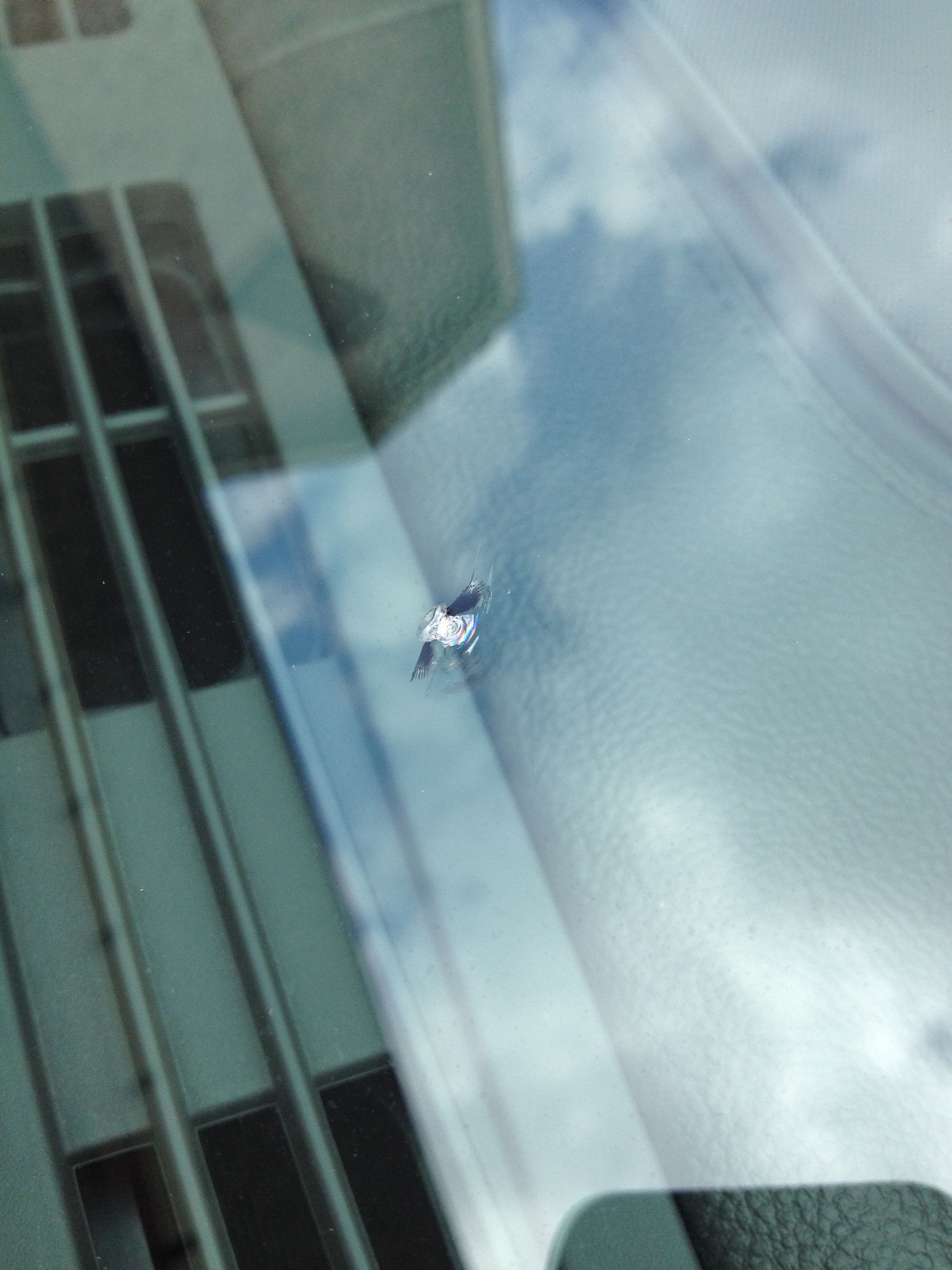 Before rock chip repair in Murfreesboro, TN