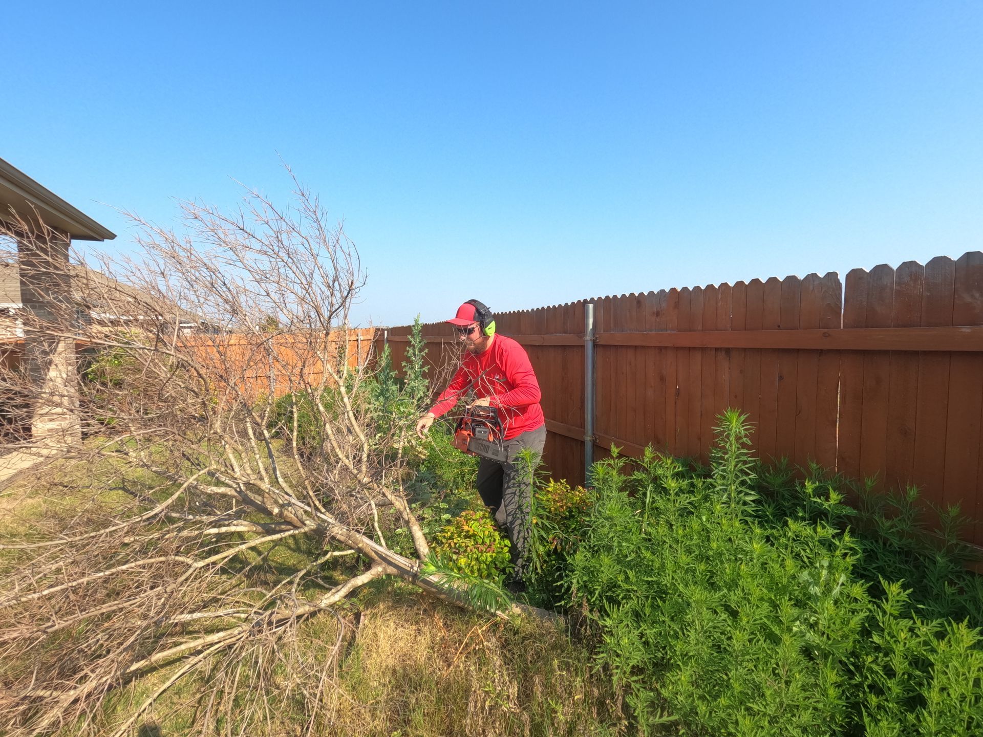 A man is cutting a tree branch with a chainsaw.