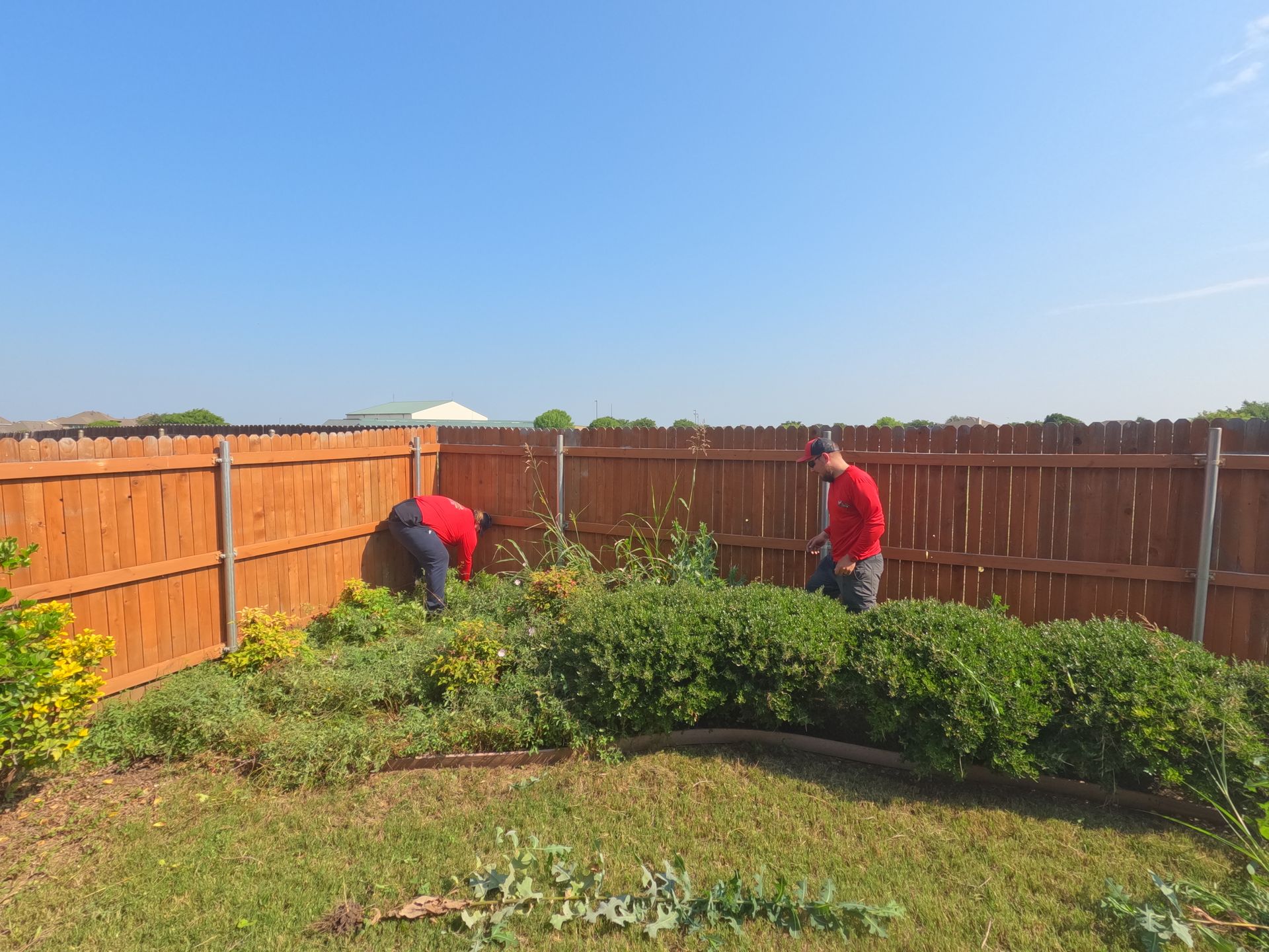 Two men are working in a garden in front of a wooden fence.