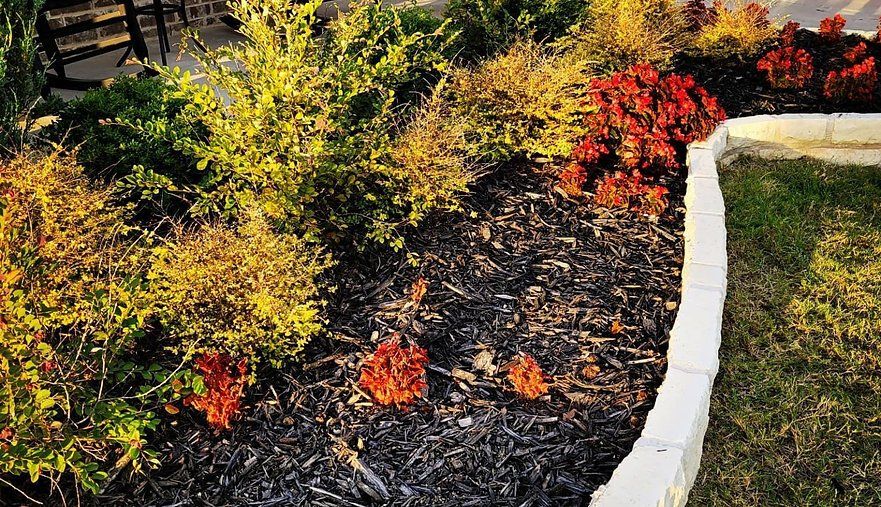 A garden with lots of plants and flowers and a white curb.