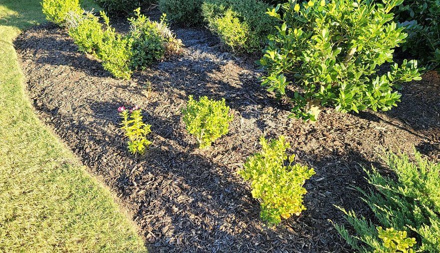 Landscape Maintenance