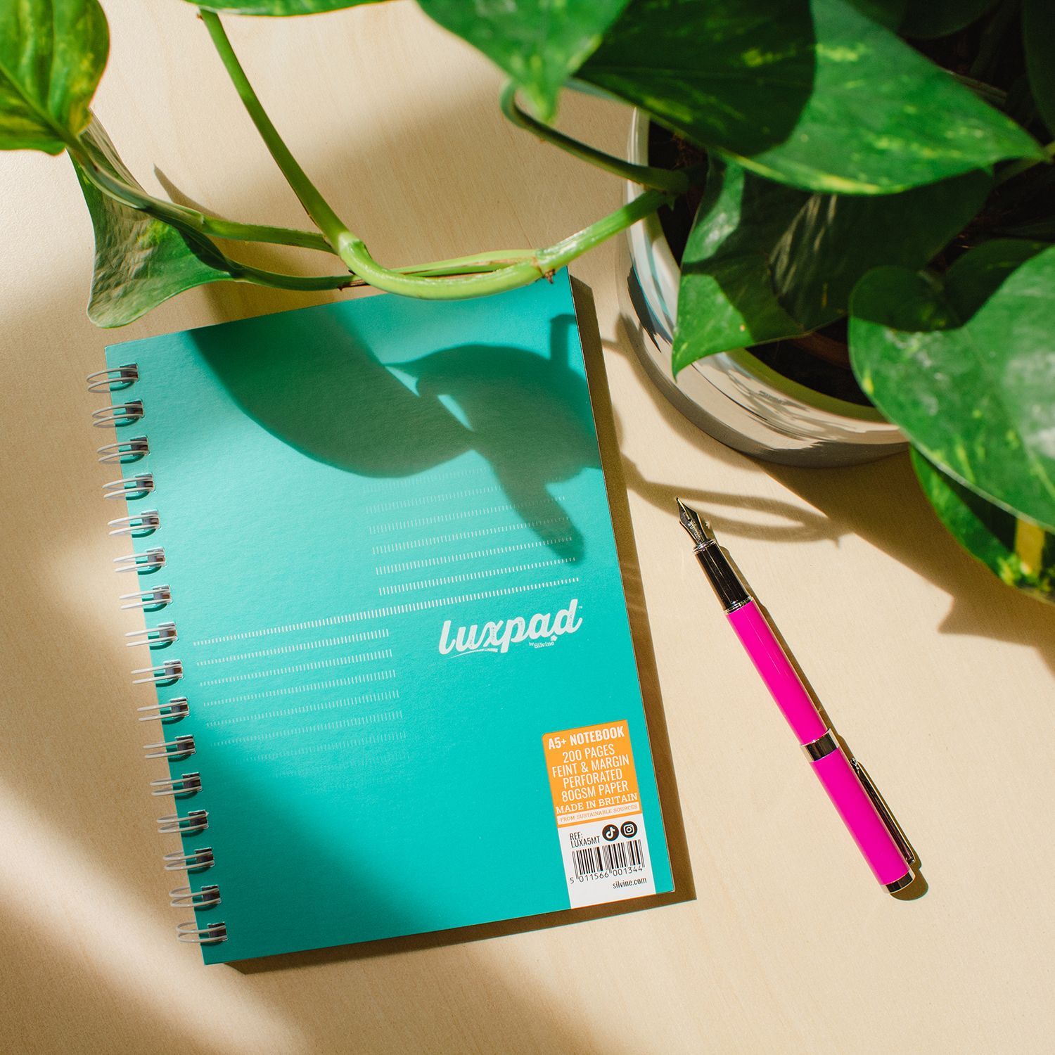 Teal Metallic Notebook by Silvine on desk with pen and houseplant. Sun is shining on the book.
