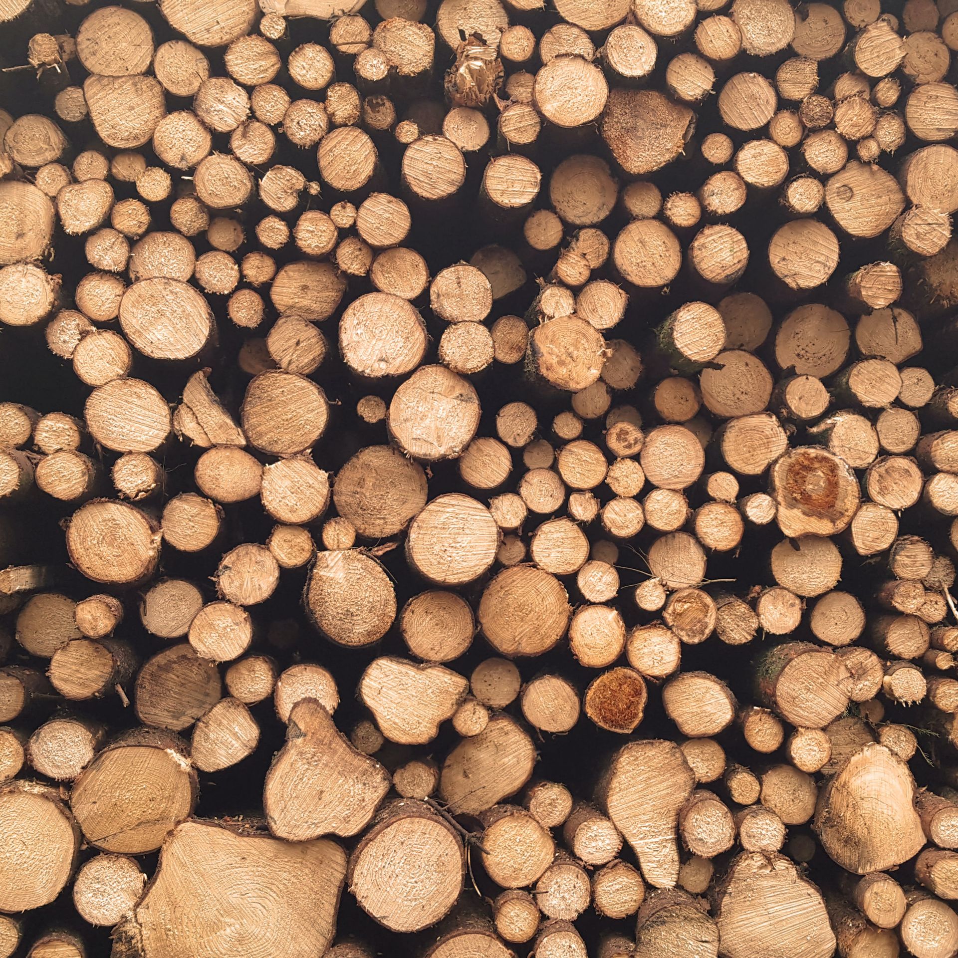 Wood logs stacked upon one another.