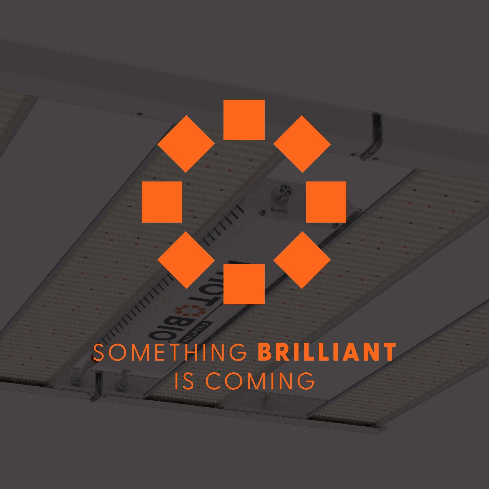 screen shot of photobio led instagram feed showing large plant images with photos of photobio led grow lights