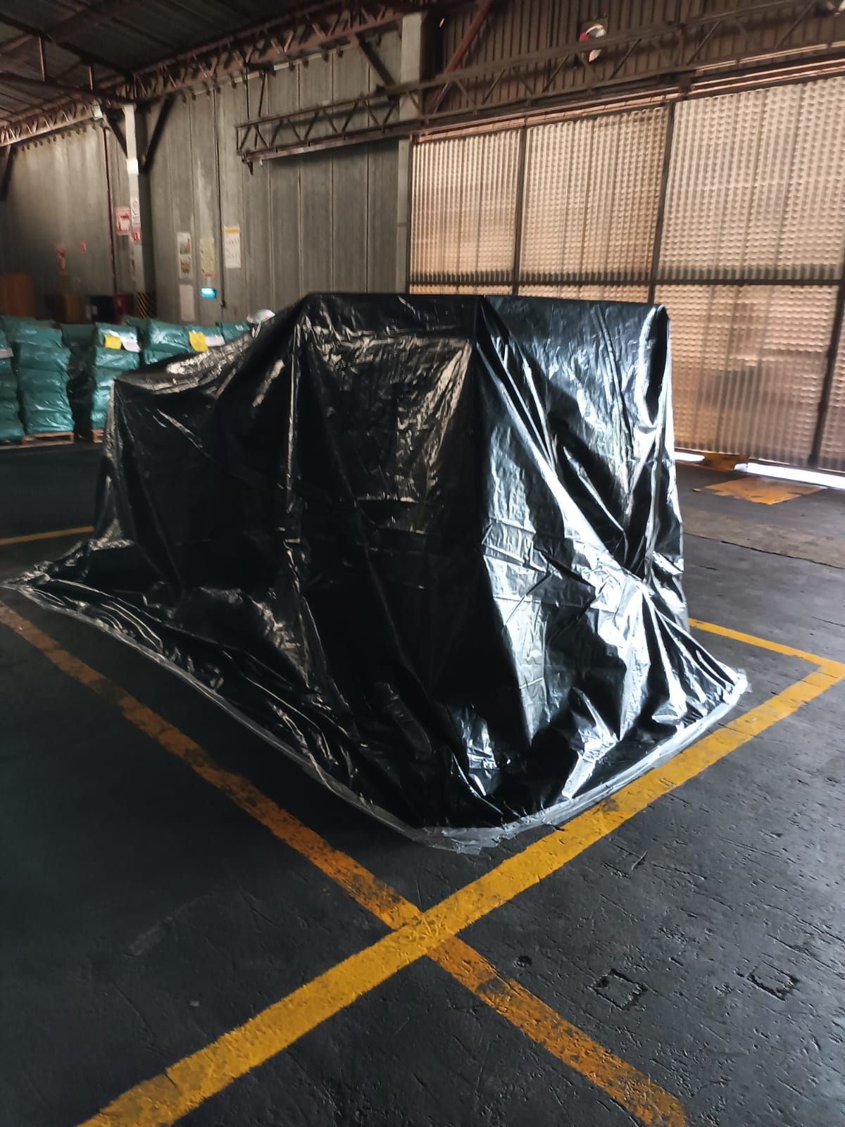 RUVAL FUMIGACIONES Y CONTROL DE PLAGAS SA DE CV -- ROEDORES