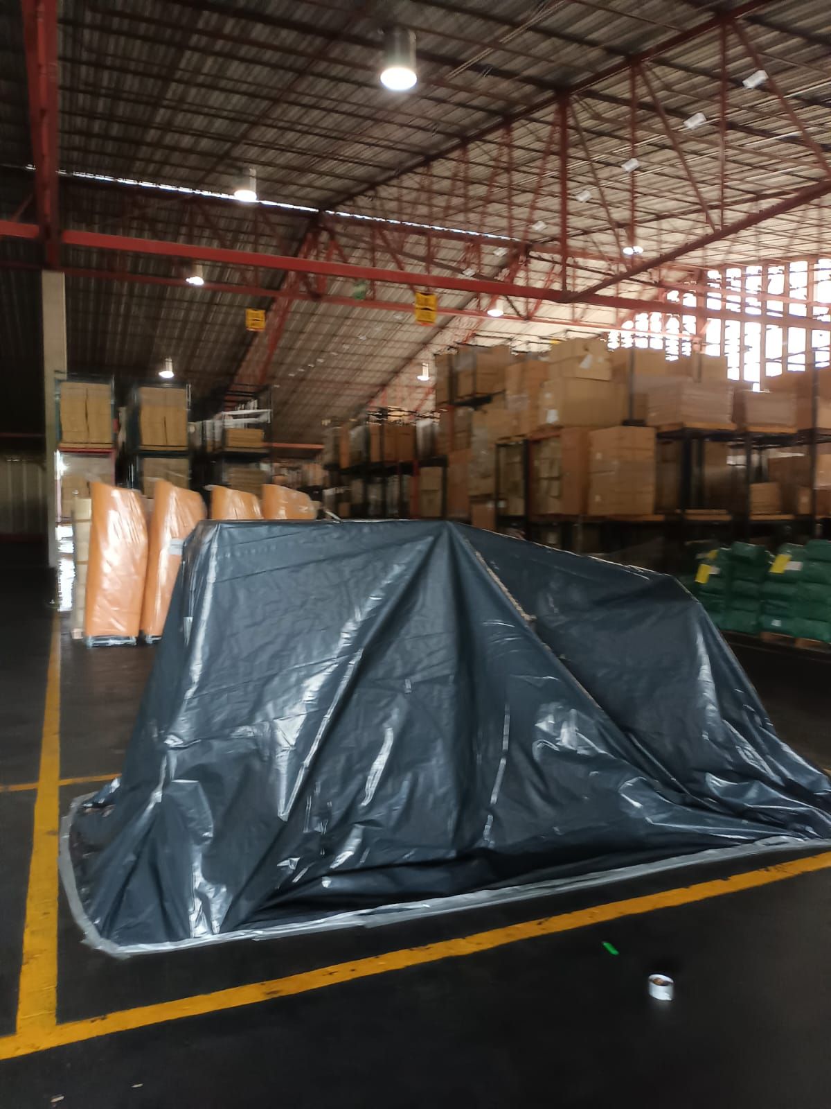 RUVAL FUMIGACIONES Y CONTROL DE PLAGAS SA DE CV -- INSECTOS