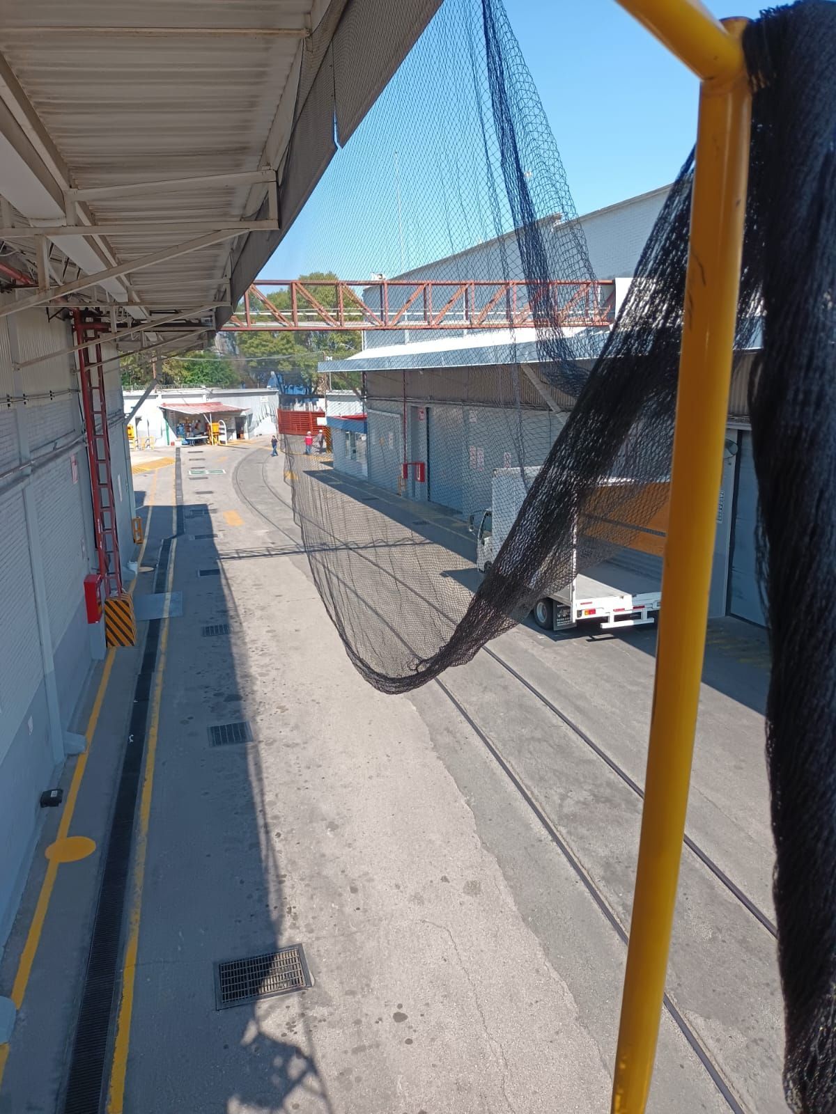 RUVAL FUMIGACIONES Y CONTROL DE PLAGAS SA DE CV -- PLAGAS