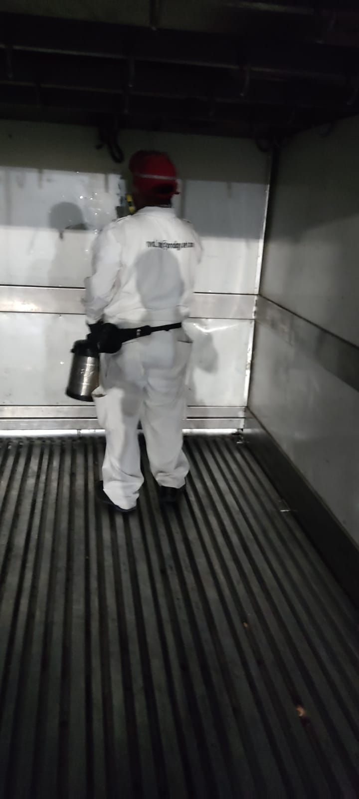 RUVAL FUMIGACIONES Y CONTROL DE PLAGAS SA DE CV -- FUMIGACIONES