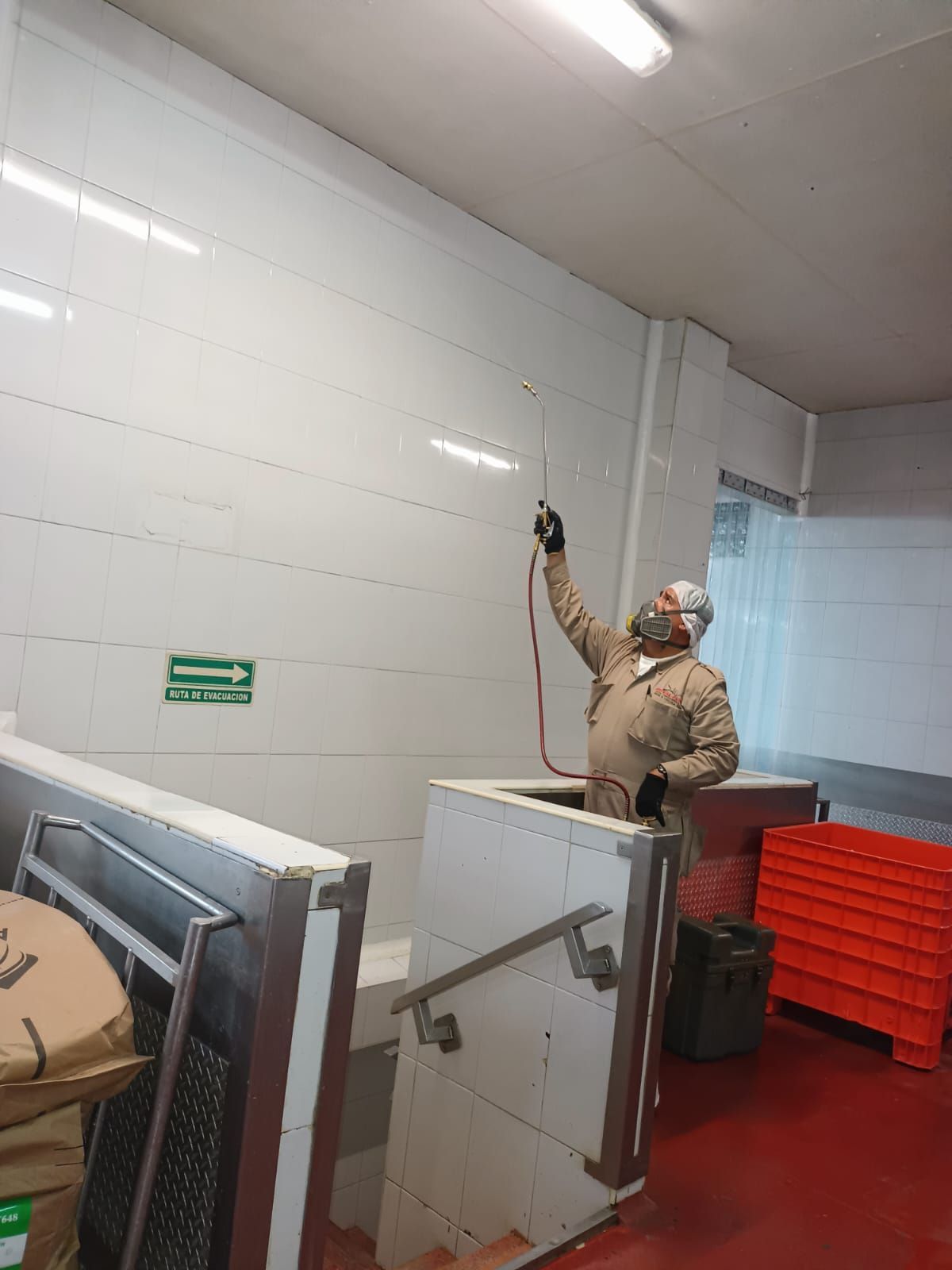 RUVAL FUMIGACIONES Y CONTROL DE PLAGAS SA DE CV -- CONTROL DE PLAGAS