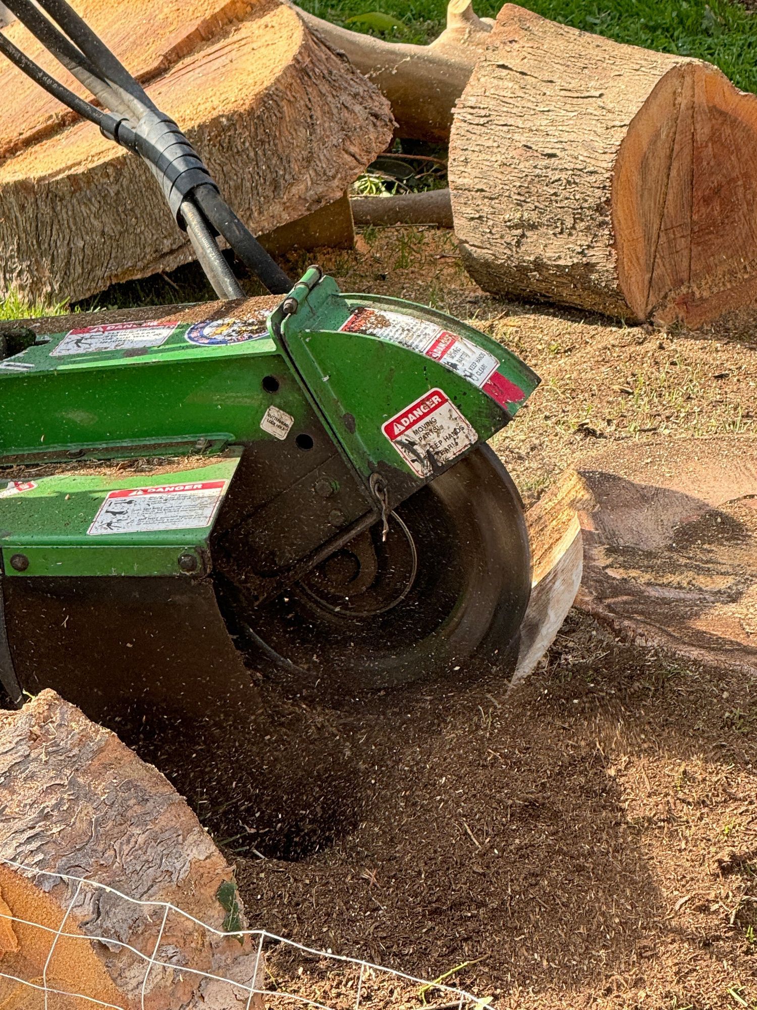 Stump grinding machine removing a tree stump in a yard during daytime.
