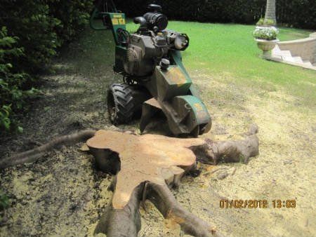 Tree Stump Machinery - Gold Coast, QLD - Affordable Stump Grinding