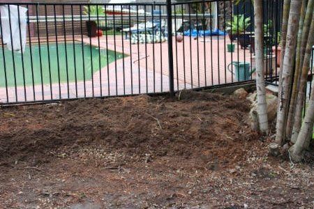 Stump Removal - Gold Coast, QLD - Affordable Stump Grinding