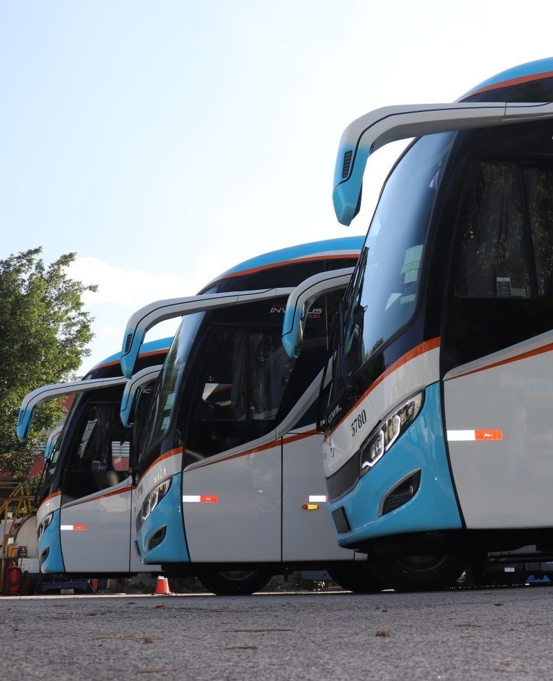 Foto da parte frontal dos ônibus adesivados da Emtram estacionados em fila