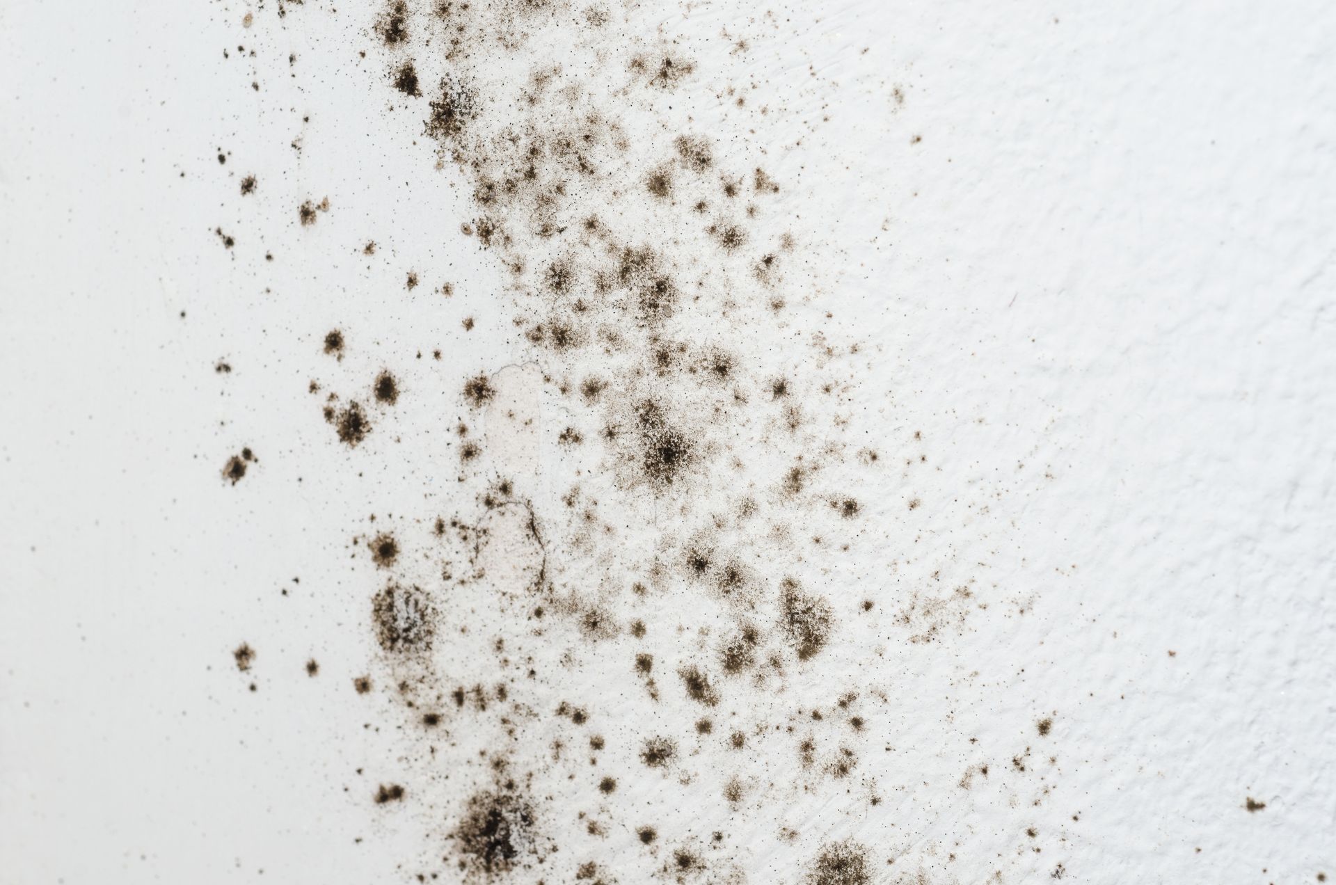 A close up of a white surface with black spots on it.