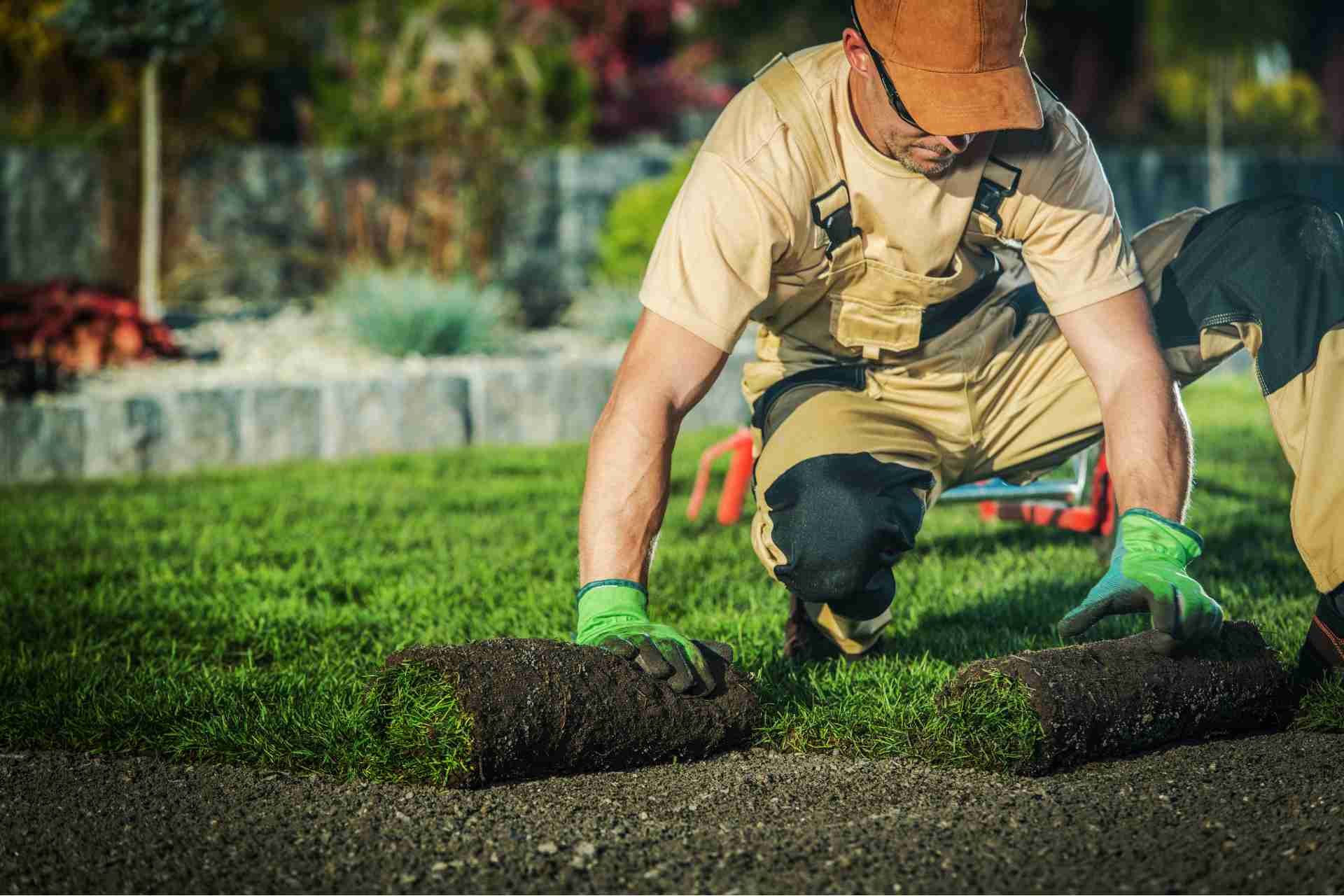 5 Essential Qualities to Look for in a Landscaper