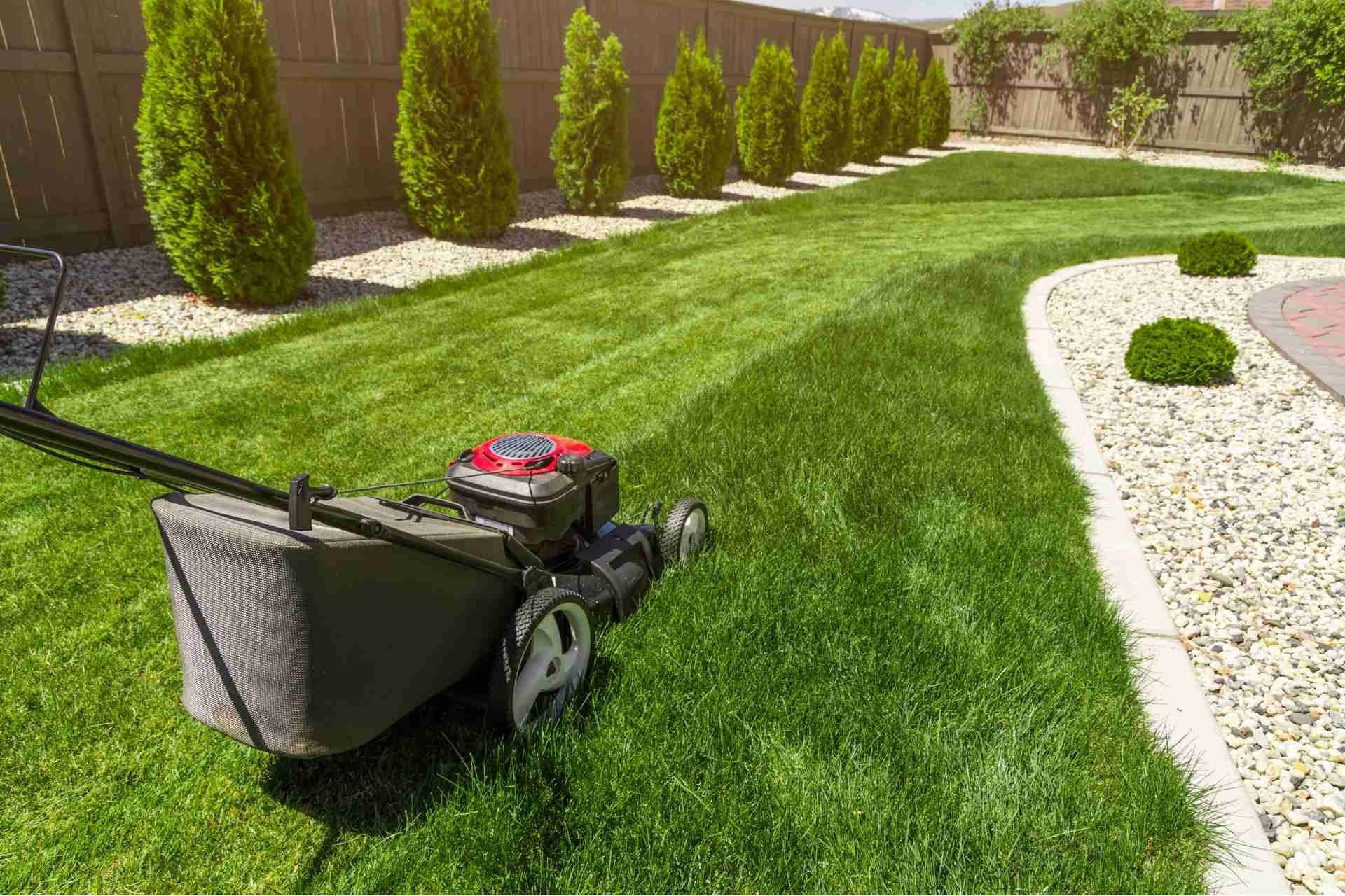 Integrating New Technology in Lawn Care