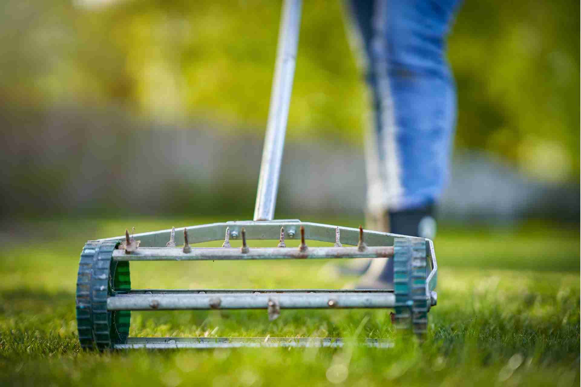 Signs Your Lawn Needs Aeration — And When to Do It