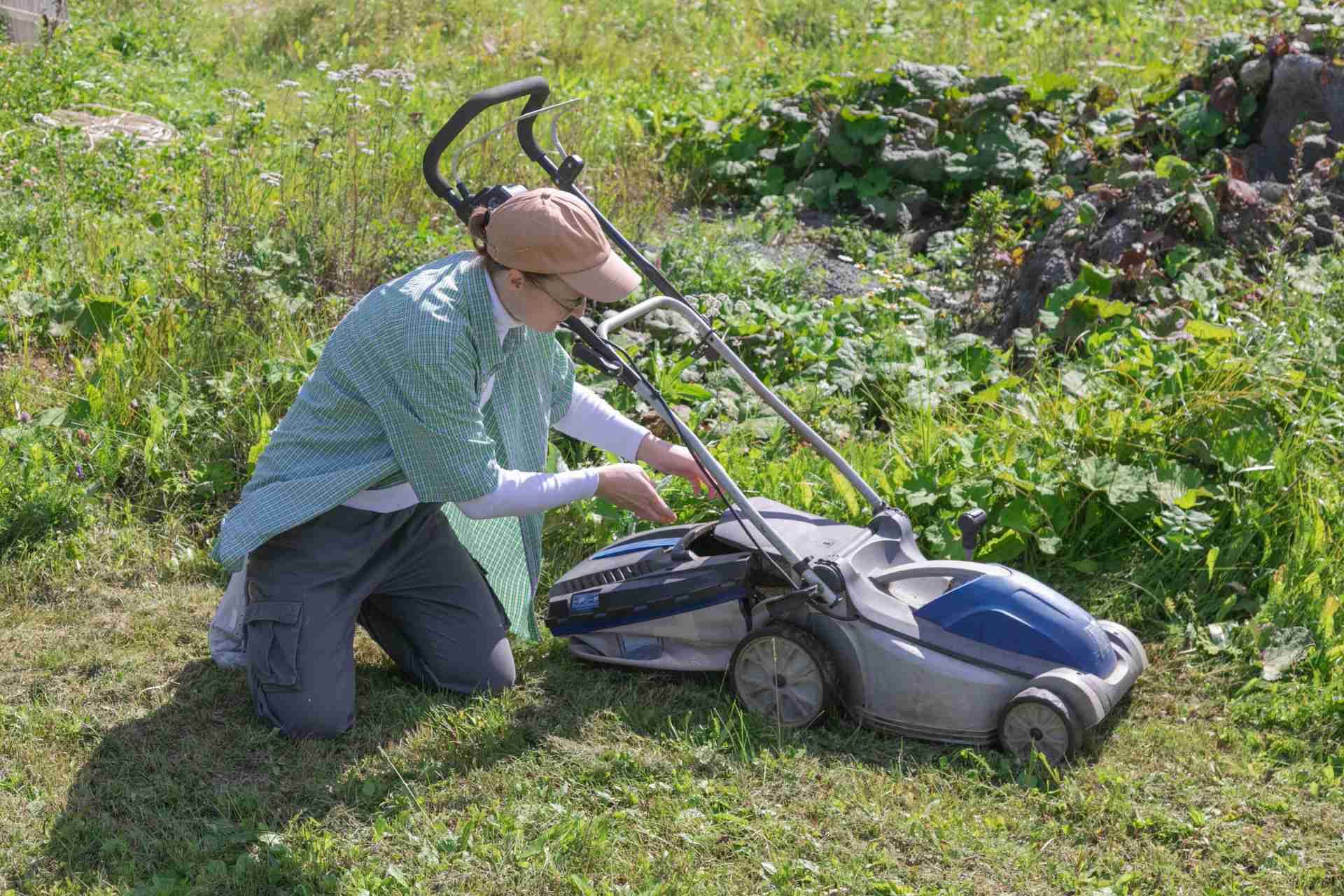 The Ultimate Guide to Preparing Your Lawn for Each Season