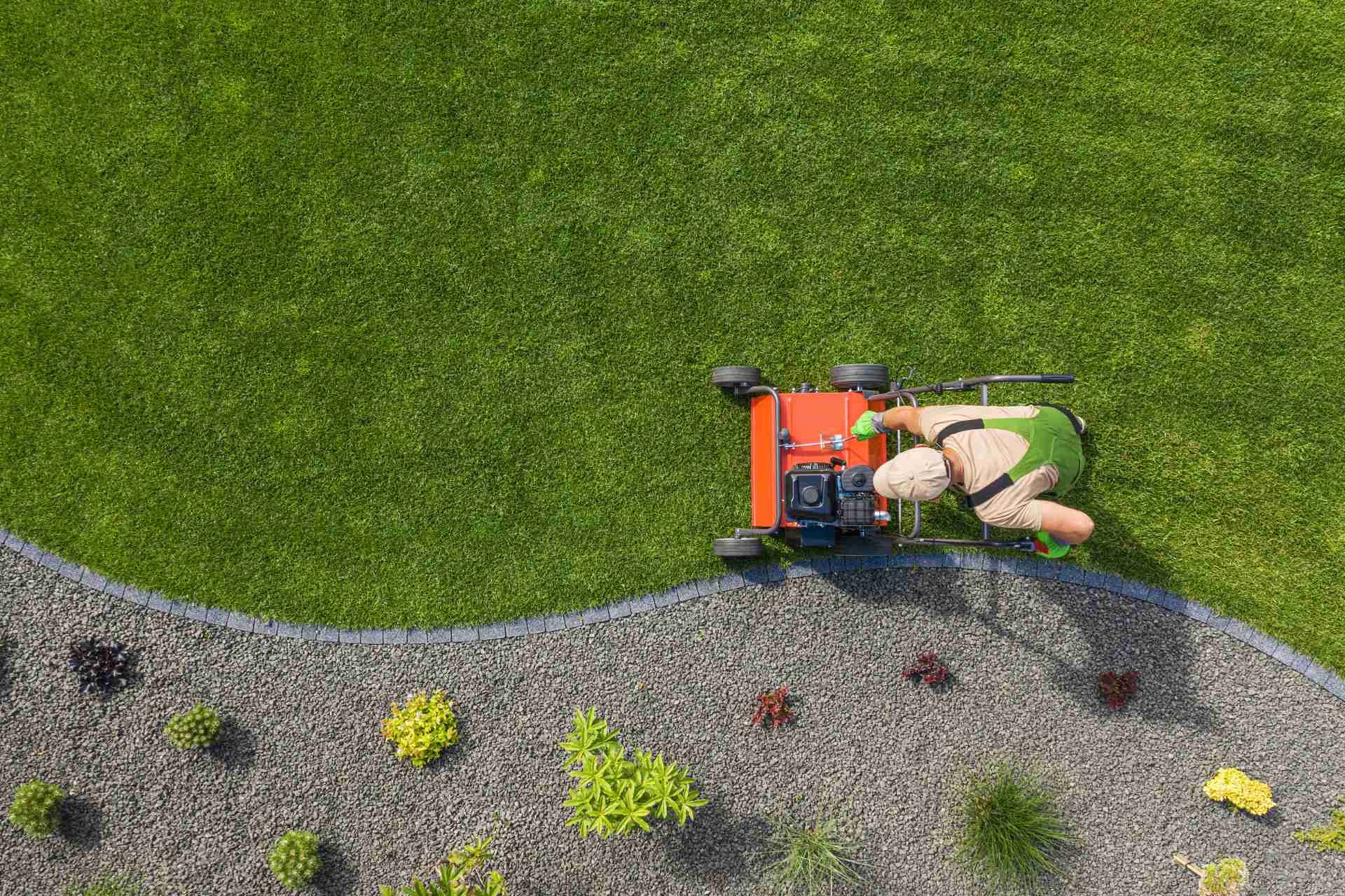 Ultimate Guide to Year Round Lawn Maintenance