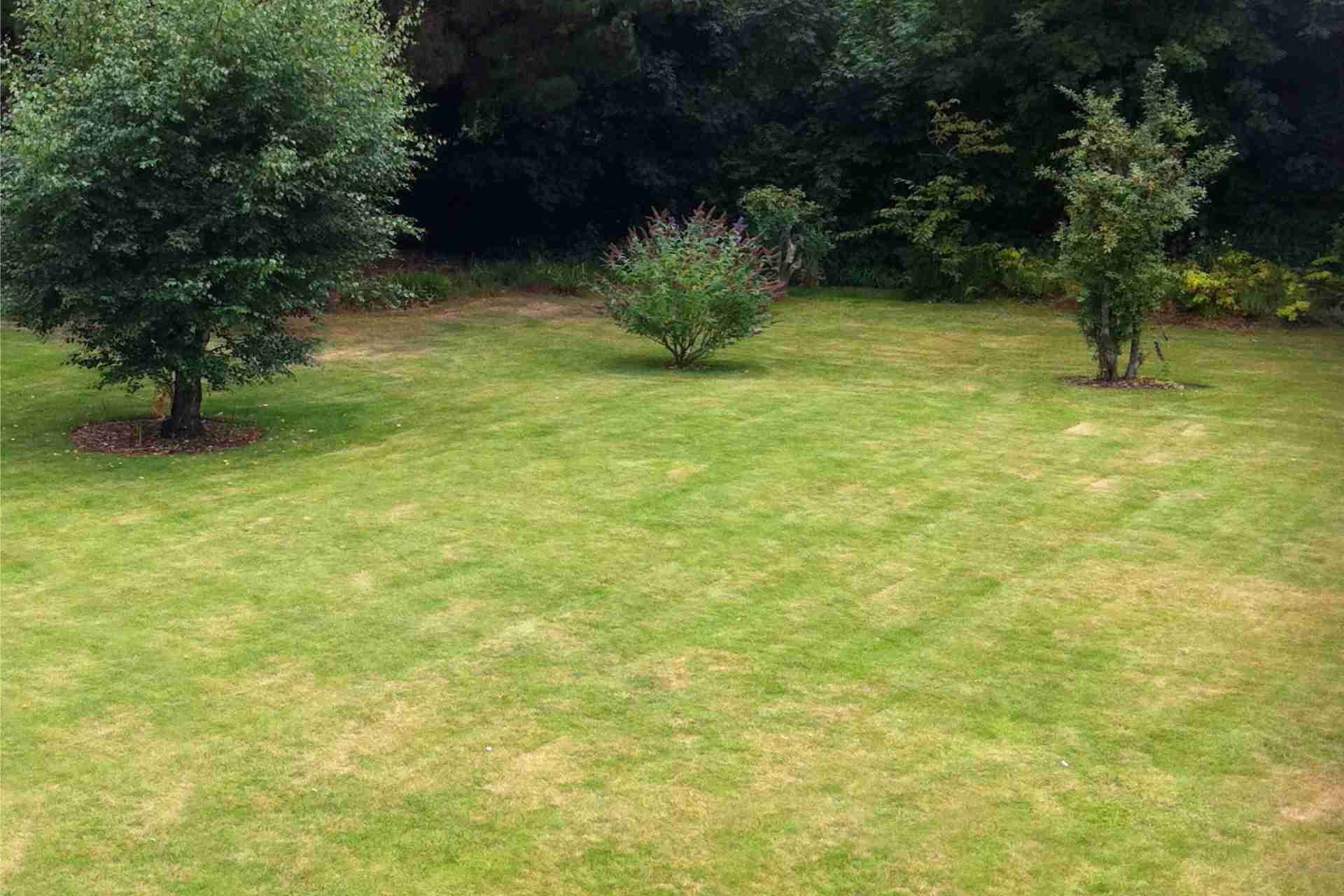Why Some Jackson County Lawns Turn Brown in July (Even When They're Being Watered)